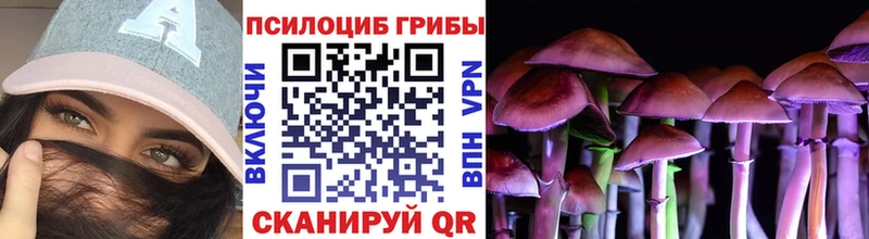 Галлюциногенные грибы мухоморы  Елец 